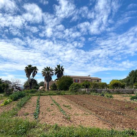 Villa Finca Ses Cases Noves Sant Llorenc Des Cardassar Exterior foto