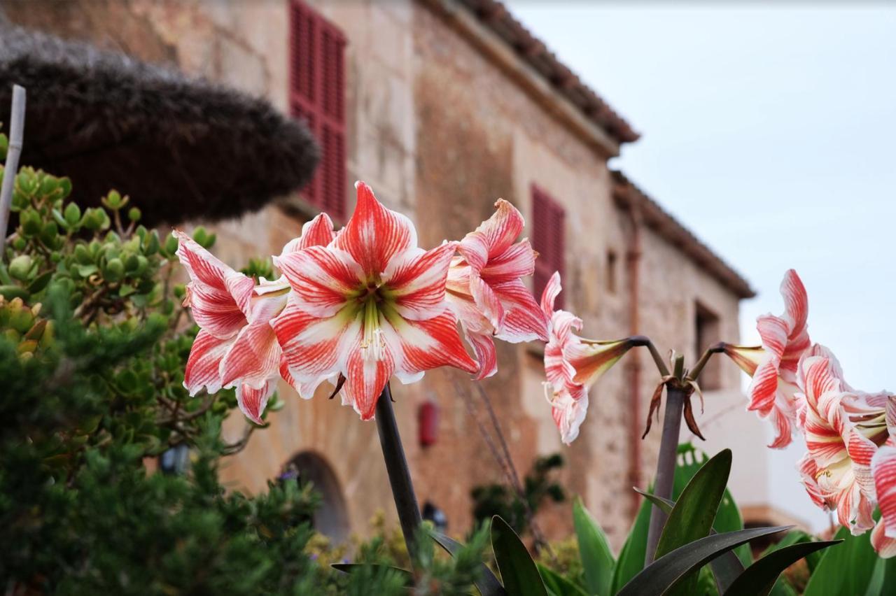 Villa Finca Ses Cases Noves Sant Llorenc Des Cardassar Exterior foto